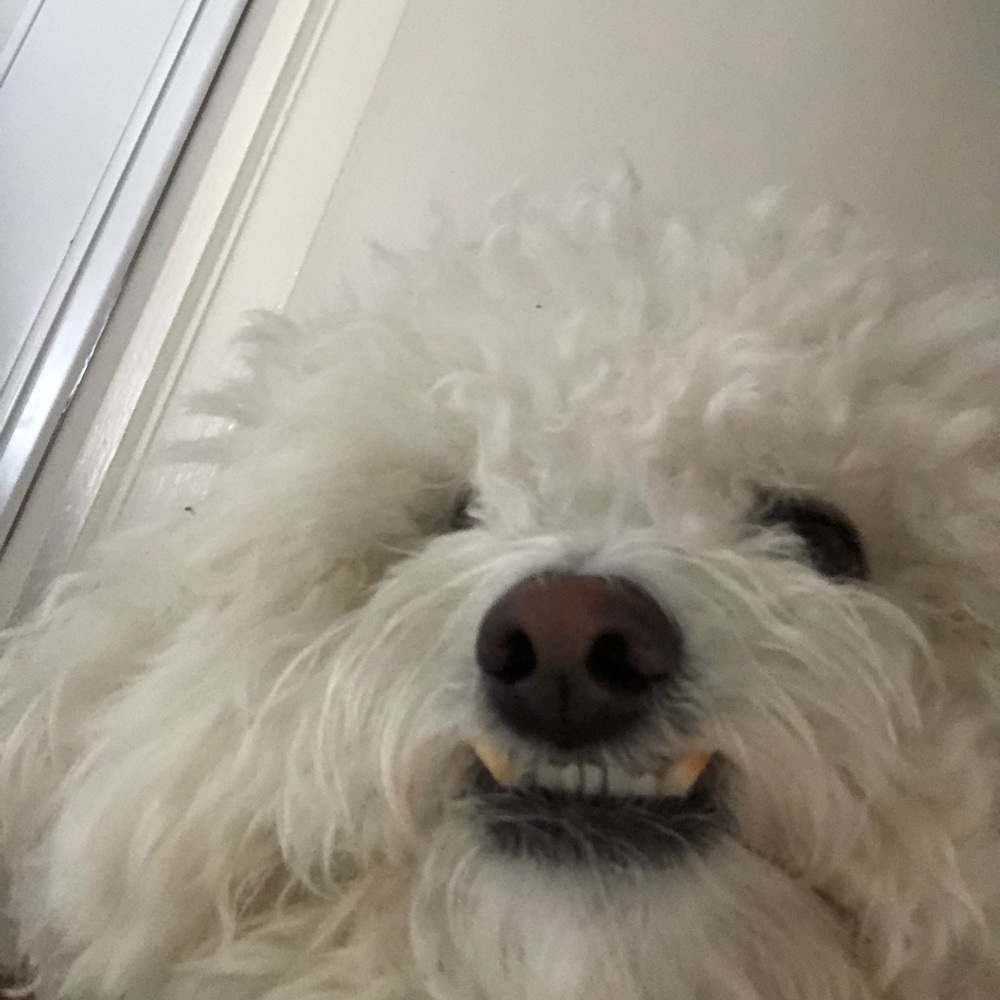 Meet your Posher, Nea